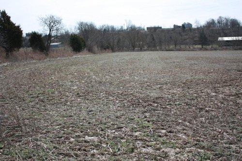 Property photo 15 - ABSOLUTE AUCTION - 298 Acres Offered in 4 Tracts